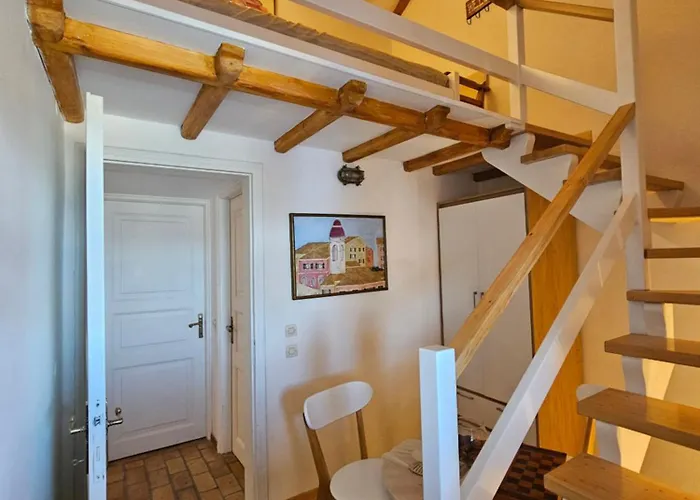 فيلة Boneti Kavalleraina